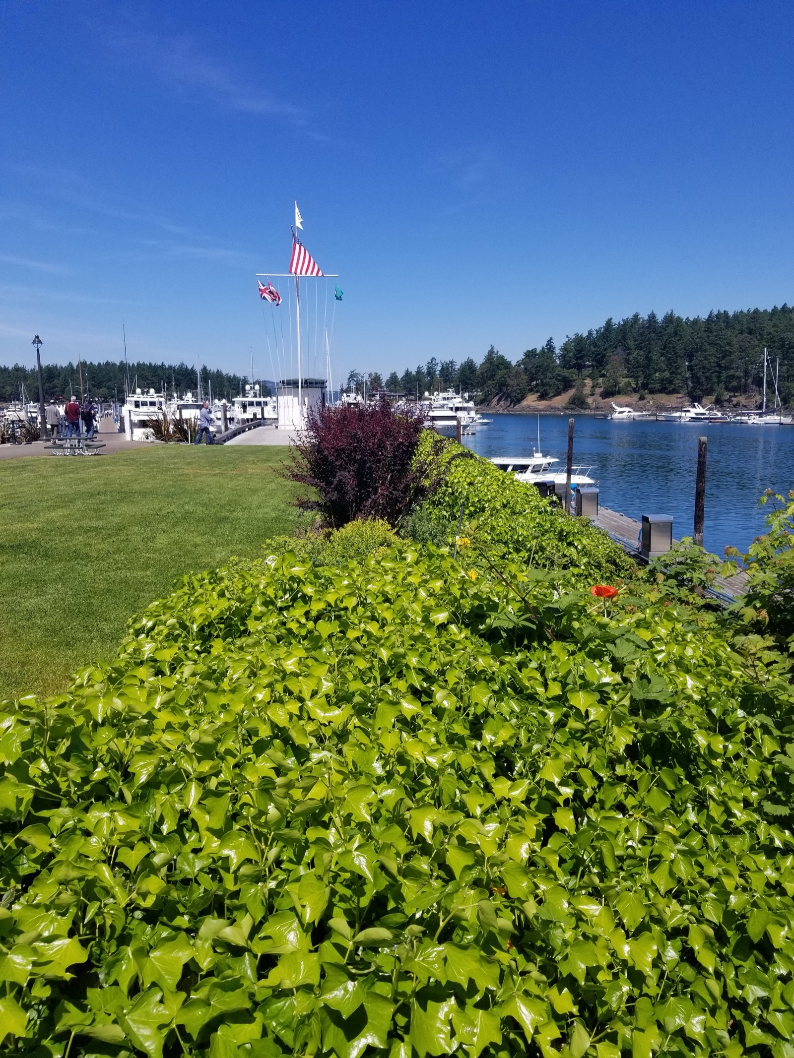 Pit stop at Roche harbor