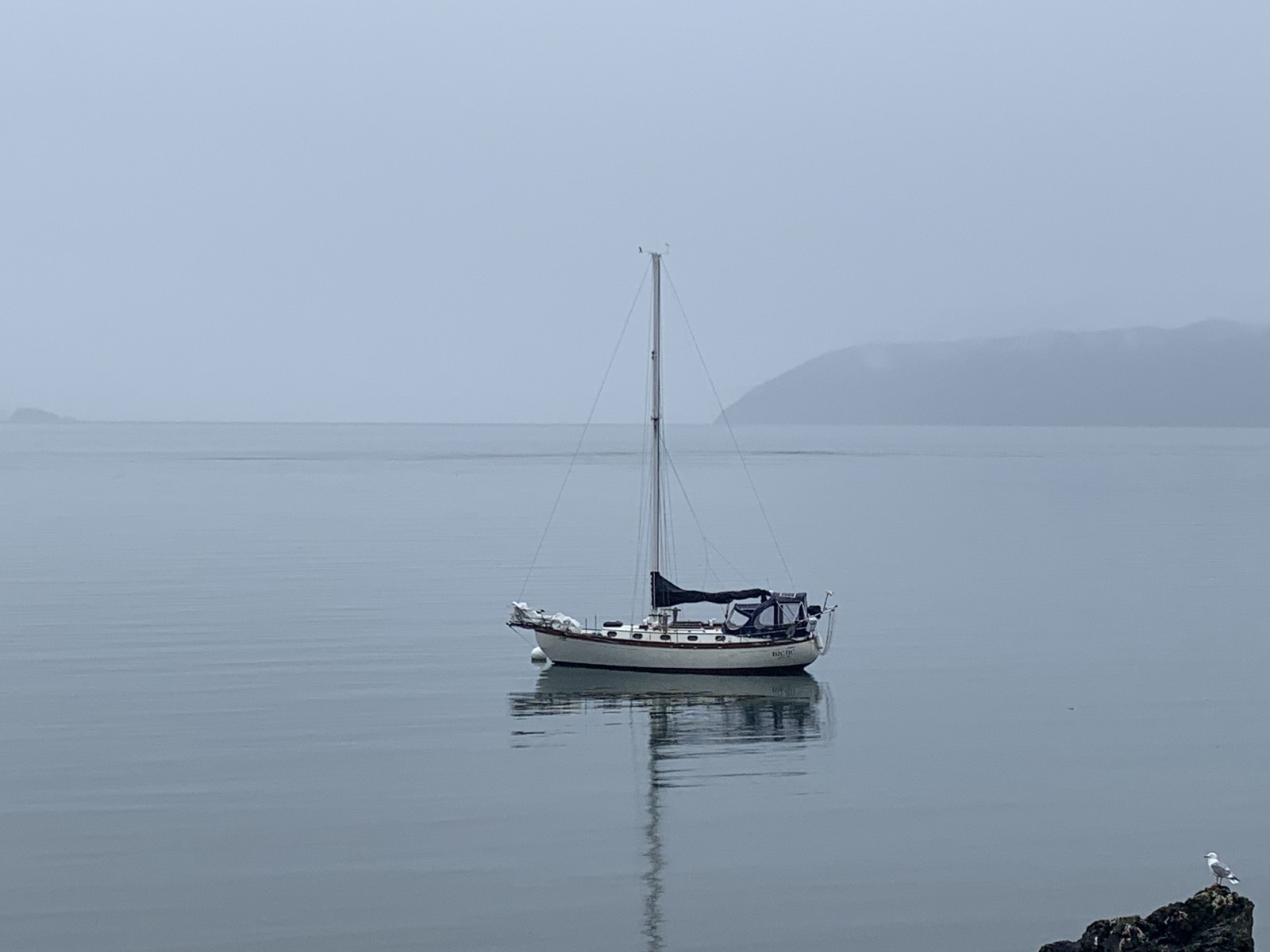 Rain at Doe Bay